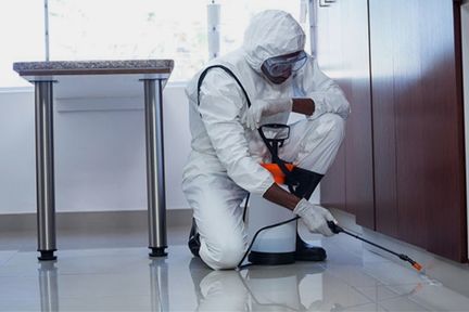 Pest Control Equipment & Supplies